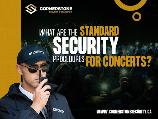 What Are The Standard Security Procedures For Concerts?