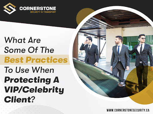 What Are Some Of The Best Practices To Use When Protecting A Vip/Celebrity Client?