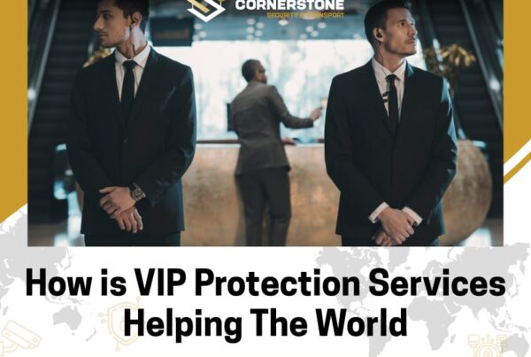How is VIP Protection Services Helping The World?