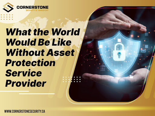 What the World Would Be Like Without Asset Protection Service Provider