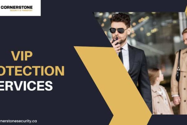 VIP Protection Services
